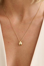 Load image into Gallery viewer, Droplet 18K Gold Plated Necklace