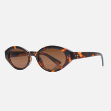 Load image into Gallery viewer, Reality Eyewear | The Demi Turtle