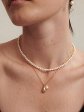 Load image into Gallery viewer, Freshwater Pearl Gold Plated Choker