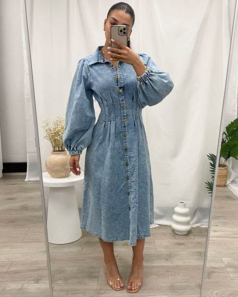 Aradia Long Sleeve Denim Dress