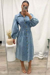 Aradia Long Sleeve Denim Dress